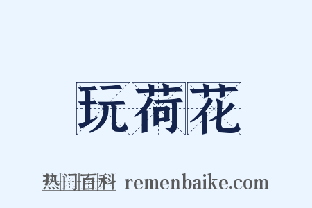 玩荷花是什么意思的图片